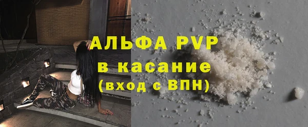 гашик Богданович