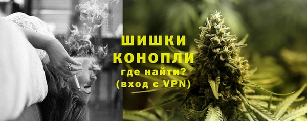 spice Богородск