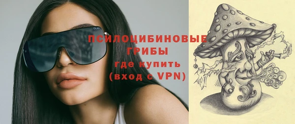 гашик Богданович