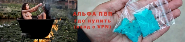 гашик Богданович