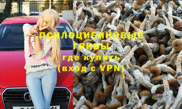 гашик Богданович