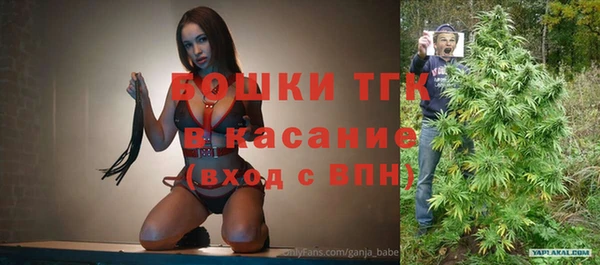 spice Богородск