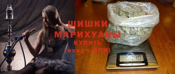 гашик Богданович