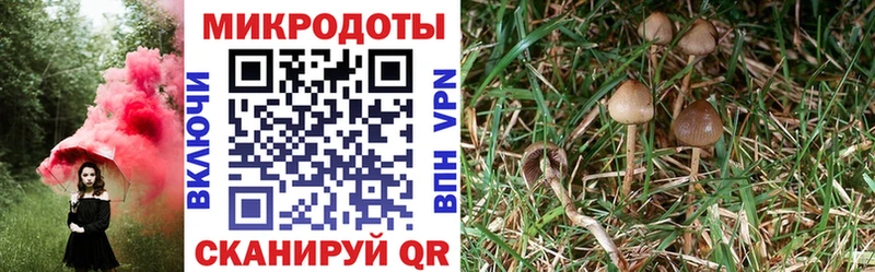 Галлюциногенные грибы ЛСД  Купино 